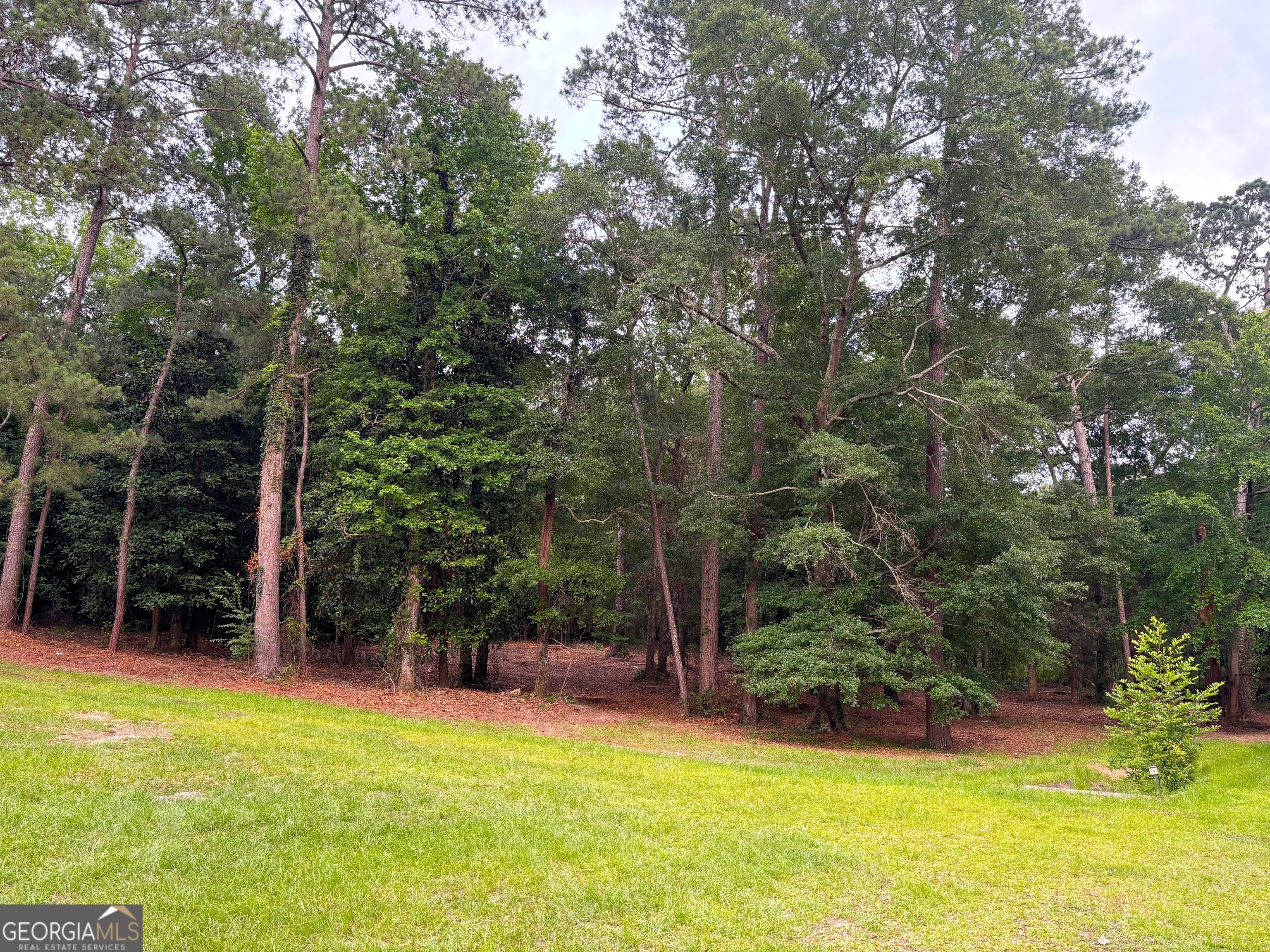 202 Hoke Smith Avenue Property Photo 21