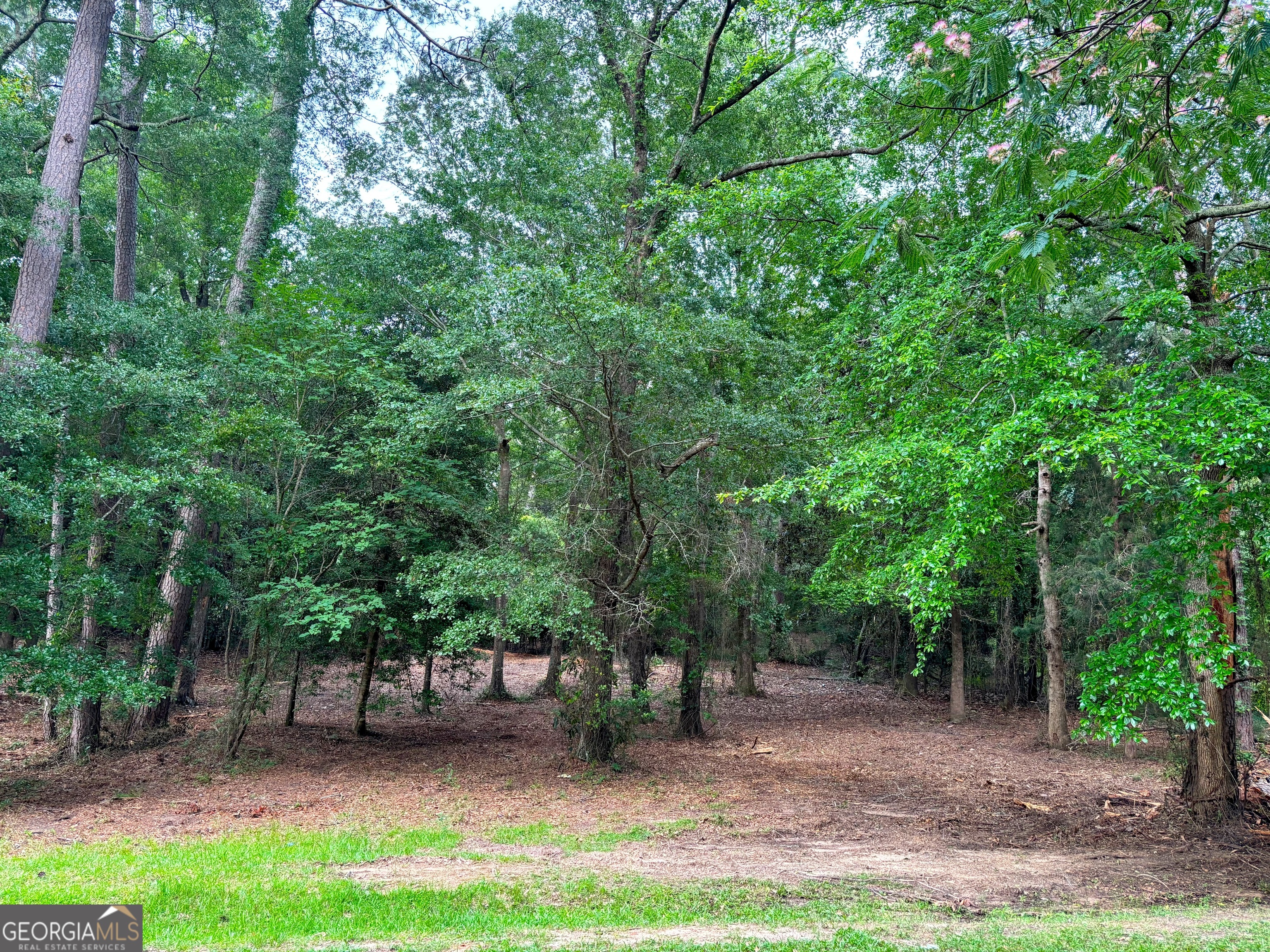 202 Hoke Smith Avenue Property Photo 22