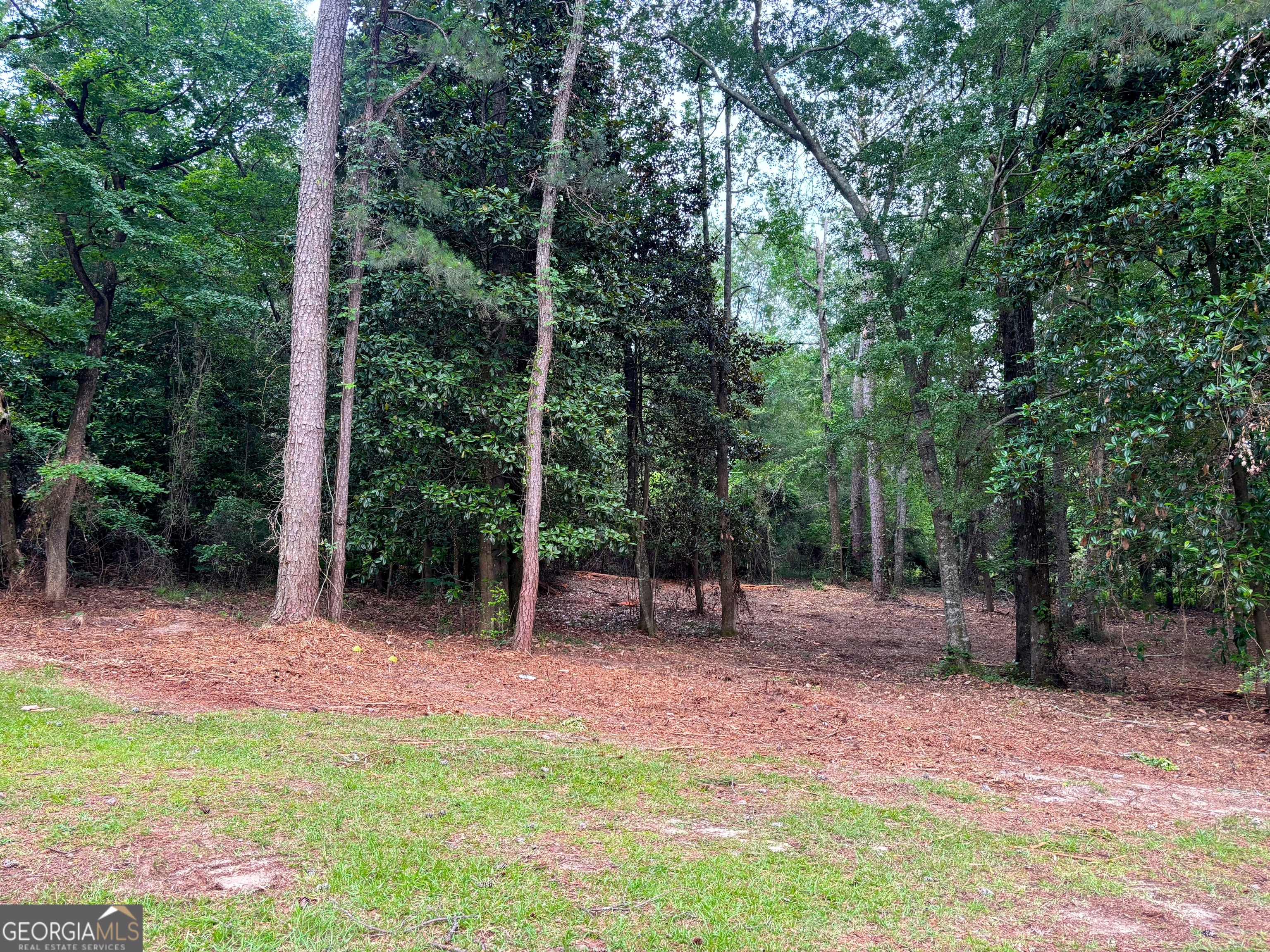 202 Hoke Smith Avenue Property Photo 24