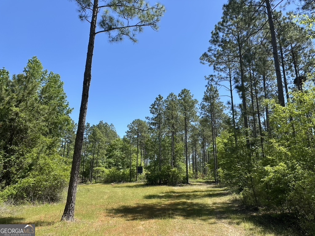 0 Jim Pruett Rd. Property Photo 1