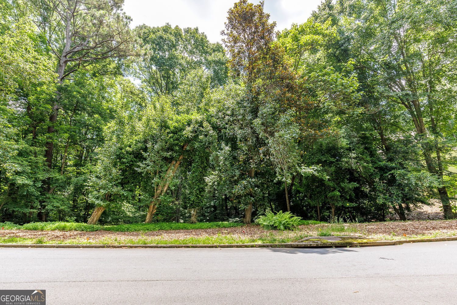 8175 Habersham Waters Road