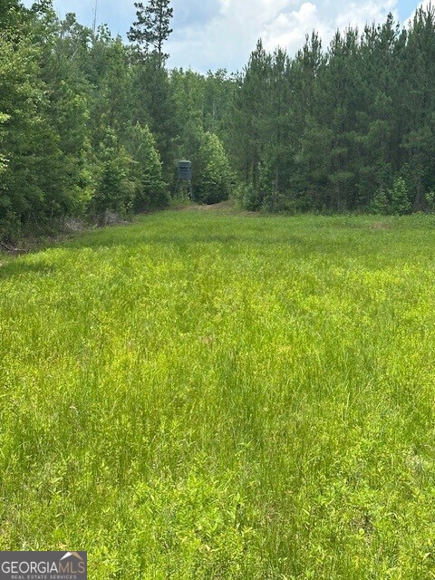 0 Jordan Road Property Photo 1