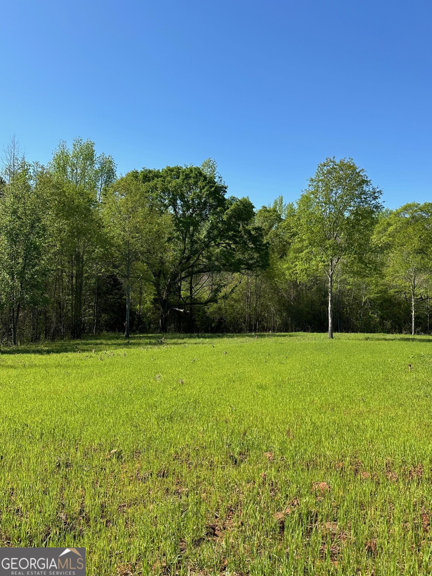 0 W Road Property Photo 2