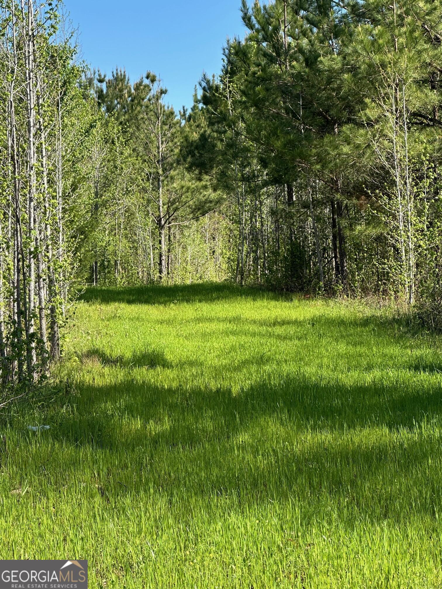 0 W Road Property Photo 3