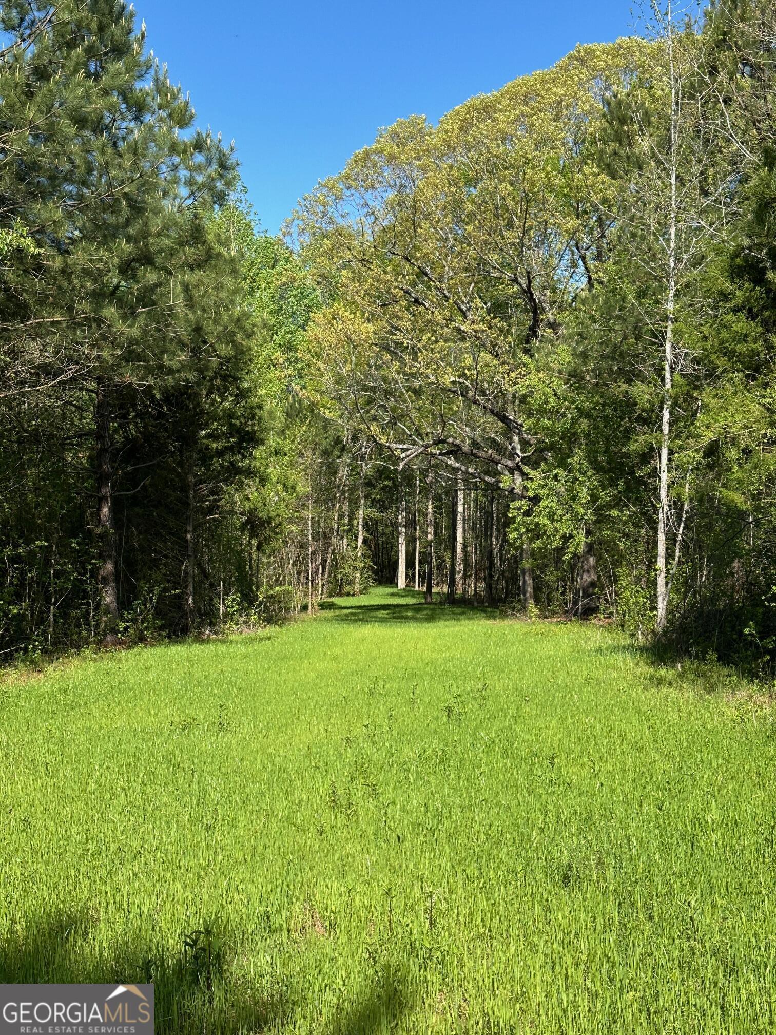 0 W Road Property Photo 4