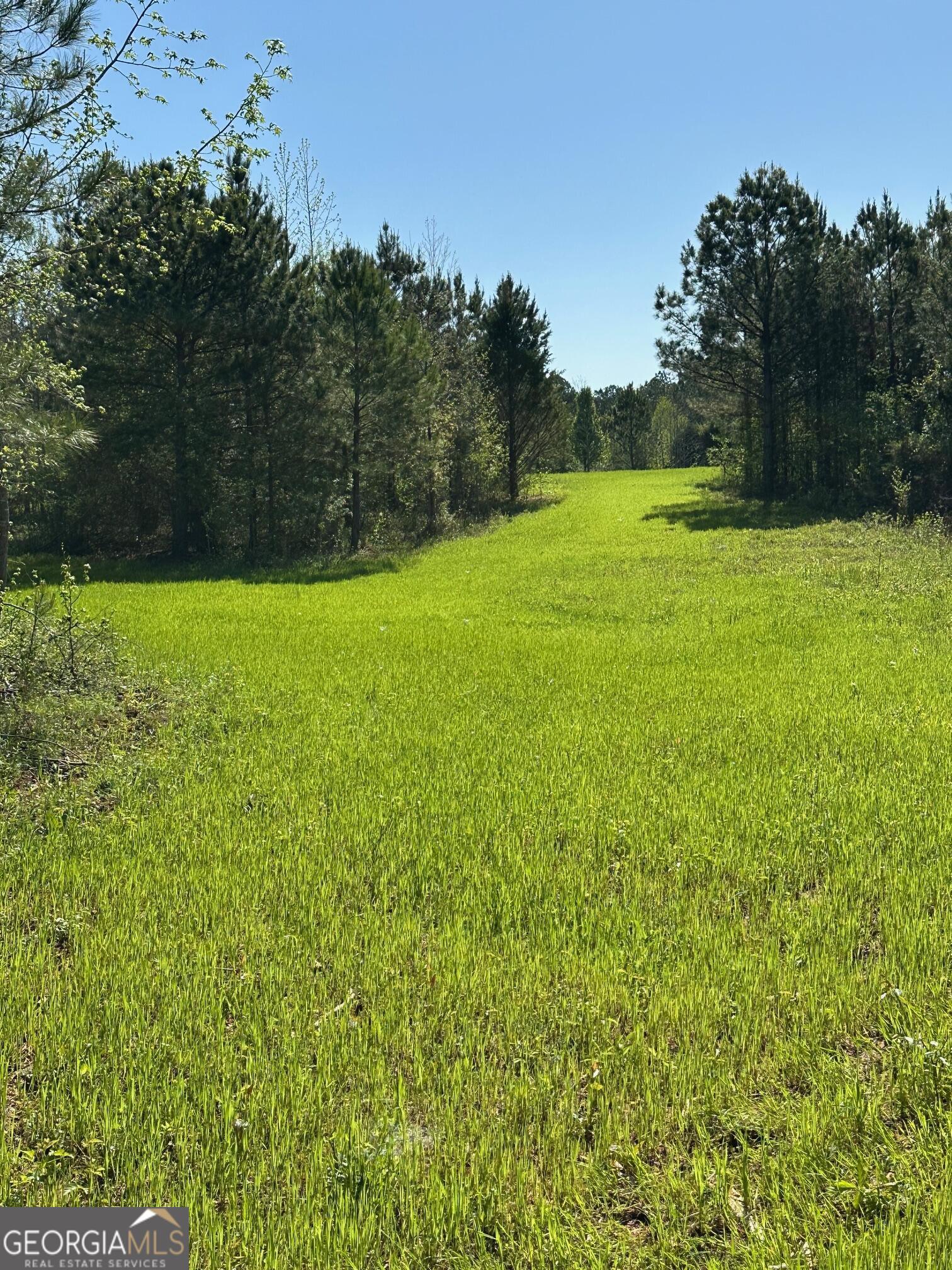 0 W Road Property Photo 5