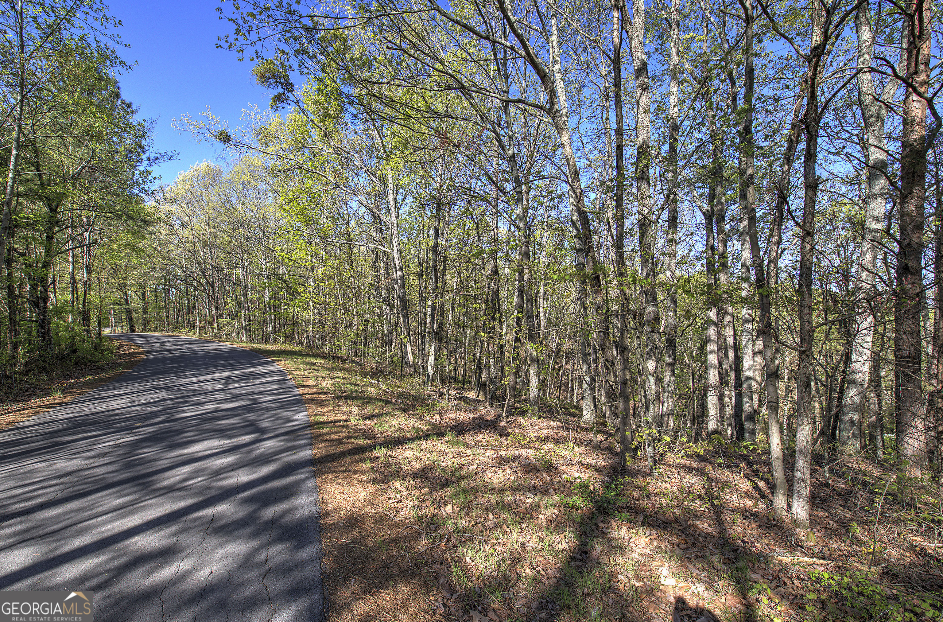 0 Mckibben Road Property Photo 1