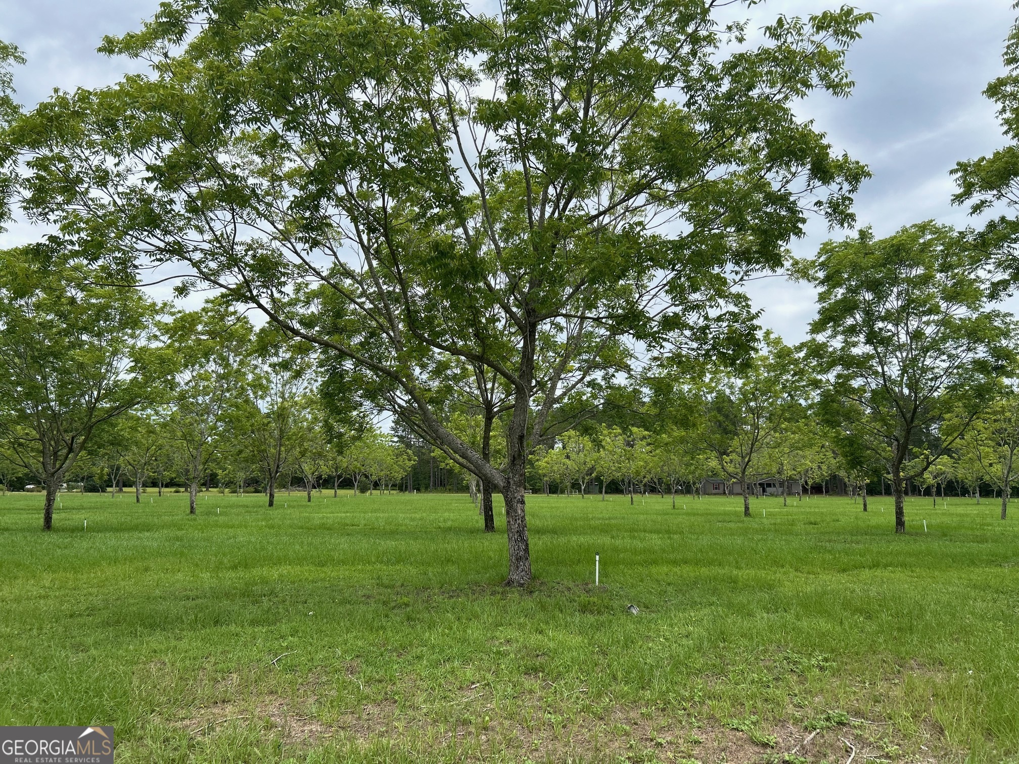 0 Tupelo Drive Property Photo 1