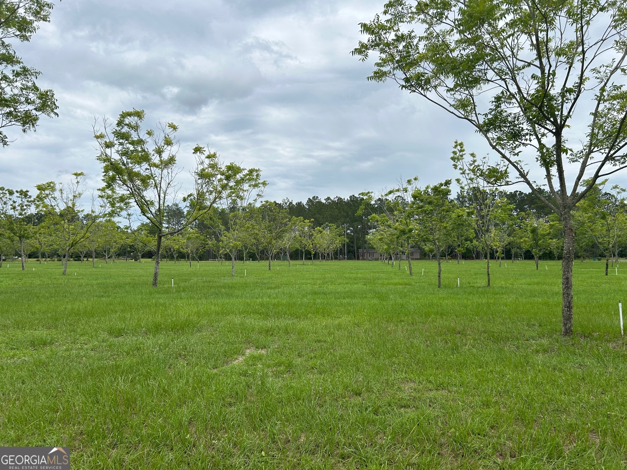 0 Tupelo Drive Property Photo 1