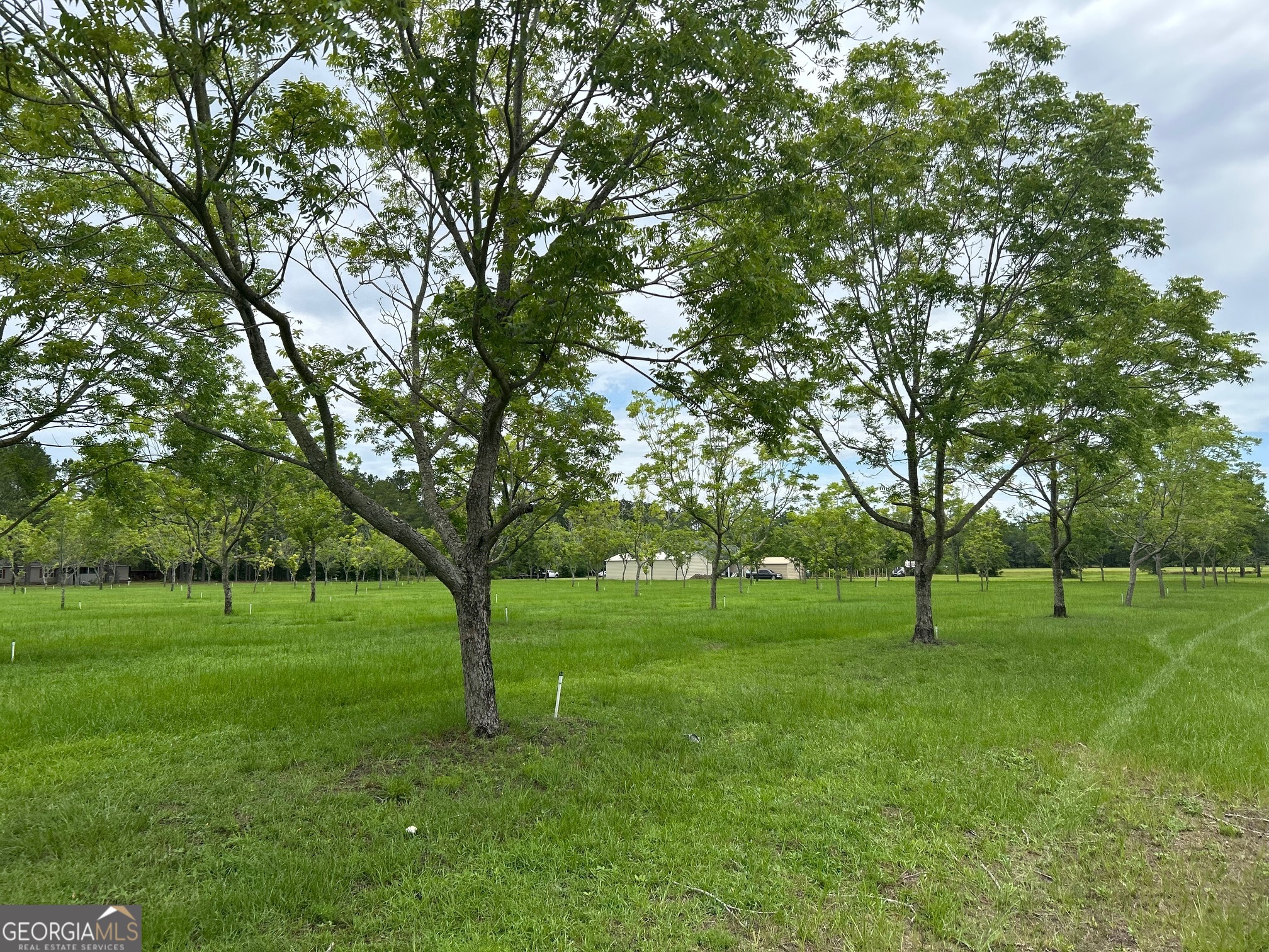 0 Myrtle Road Property Photo 1