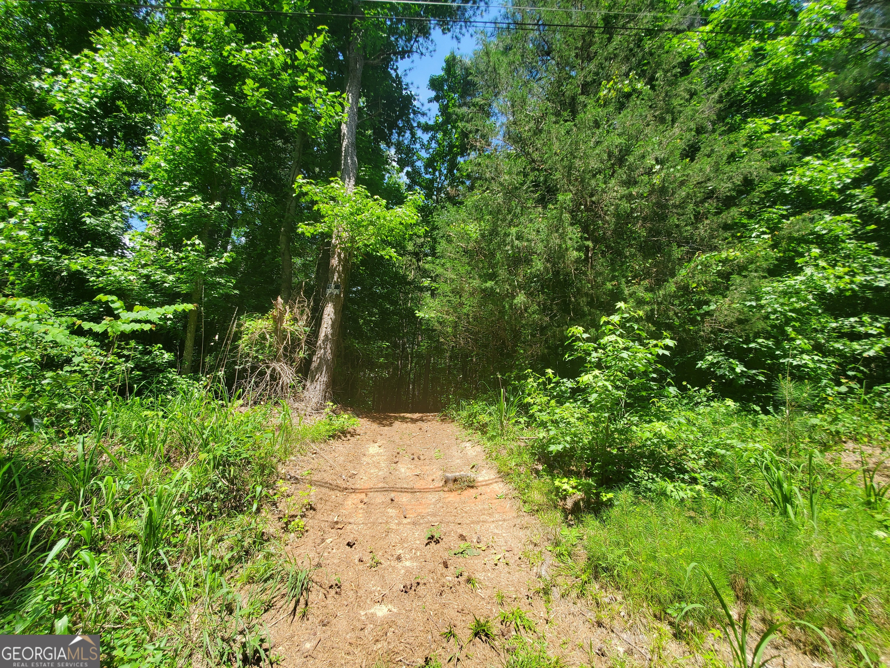 4244 Bradley Drive Property Photo 1