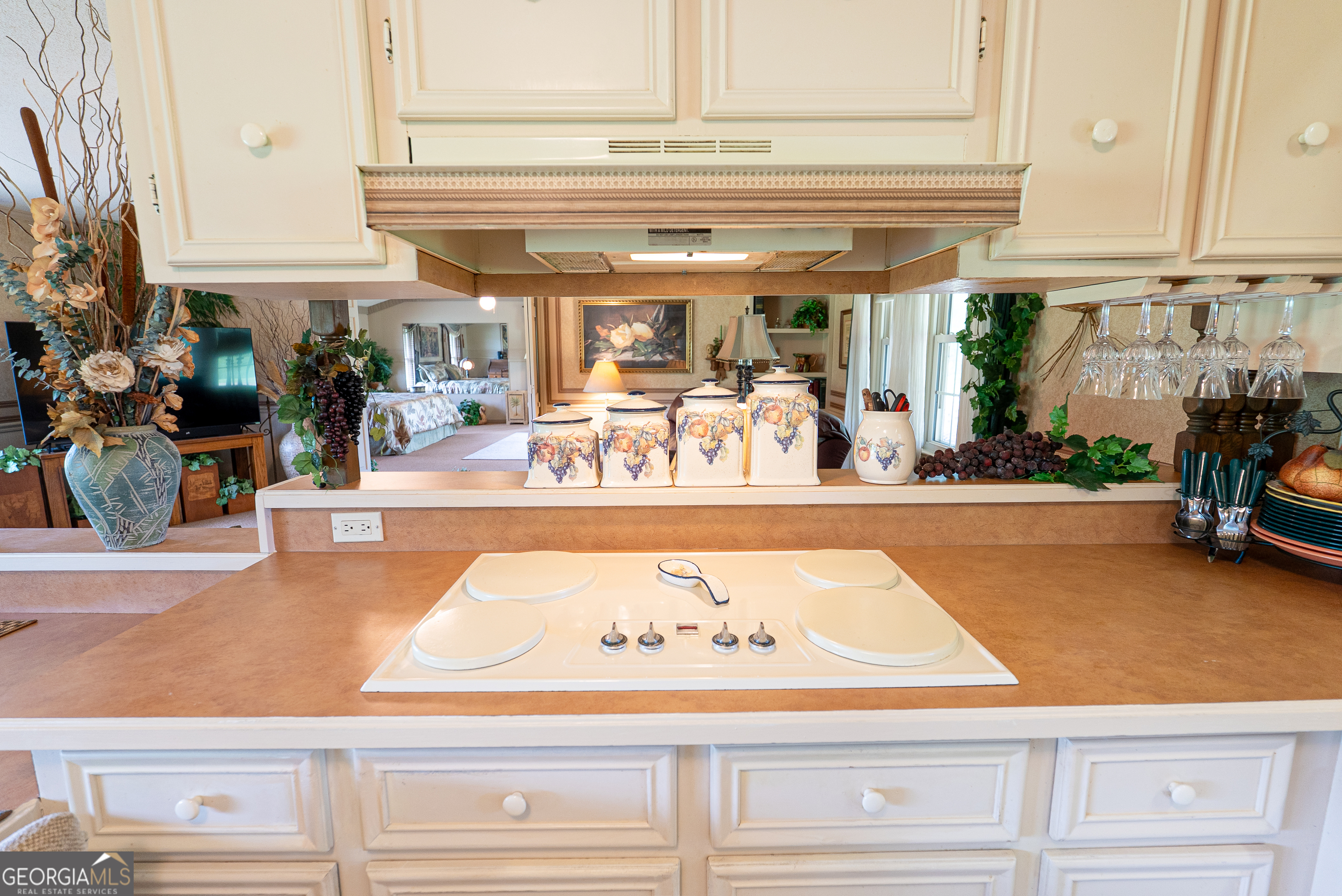1181 Us Highway 19 Property Photo 43