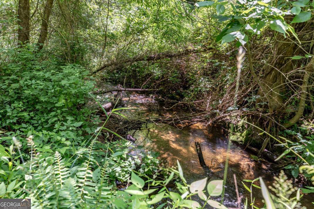 26.18 Ac Green Road Property Photo 4