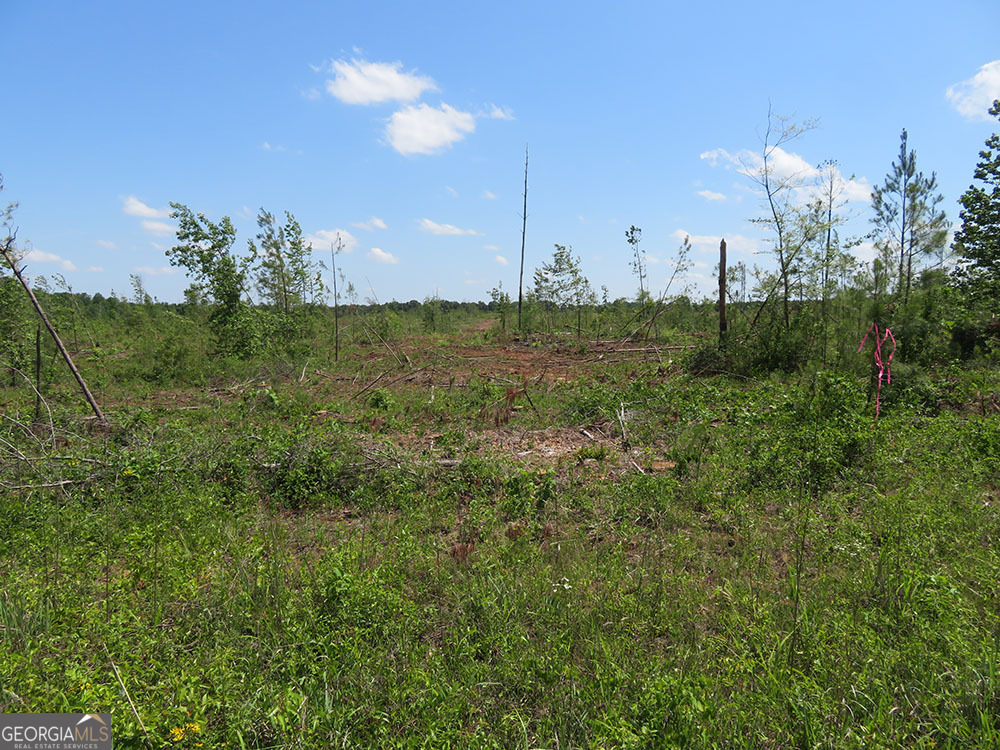 0 Goolsby Road Property Photo 3