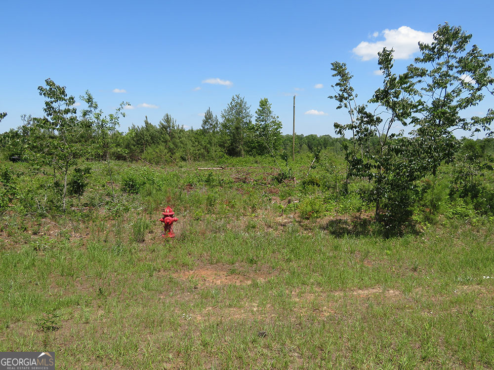 0 Ebenezer Road Property Photo 1