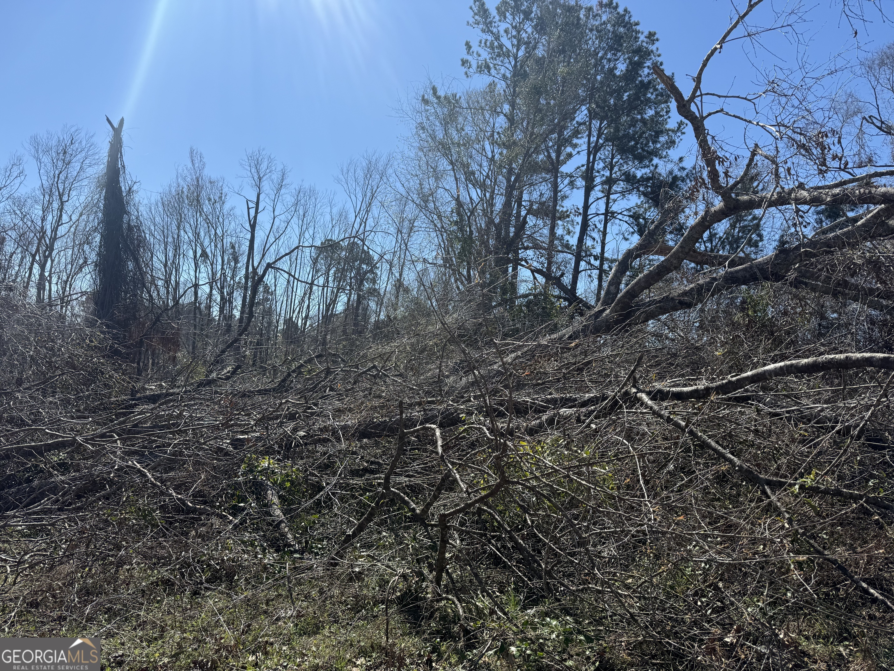 0 Wragler Lane Property Photo 1