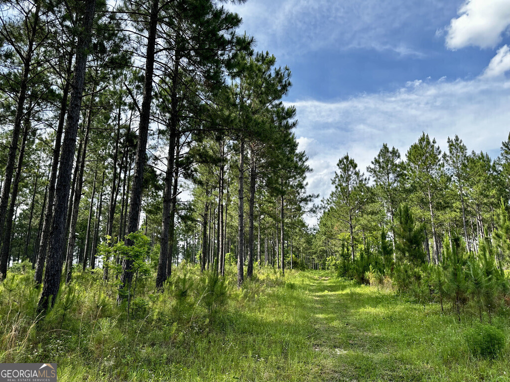 0 Old Prison Camp Property Photo 1