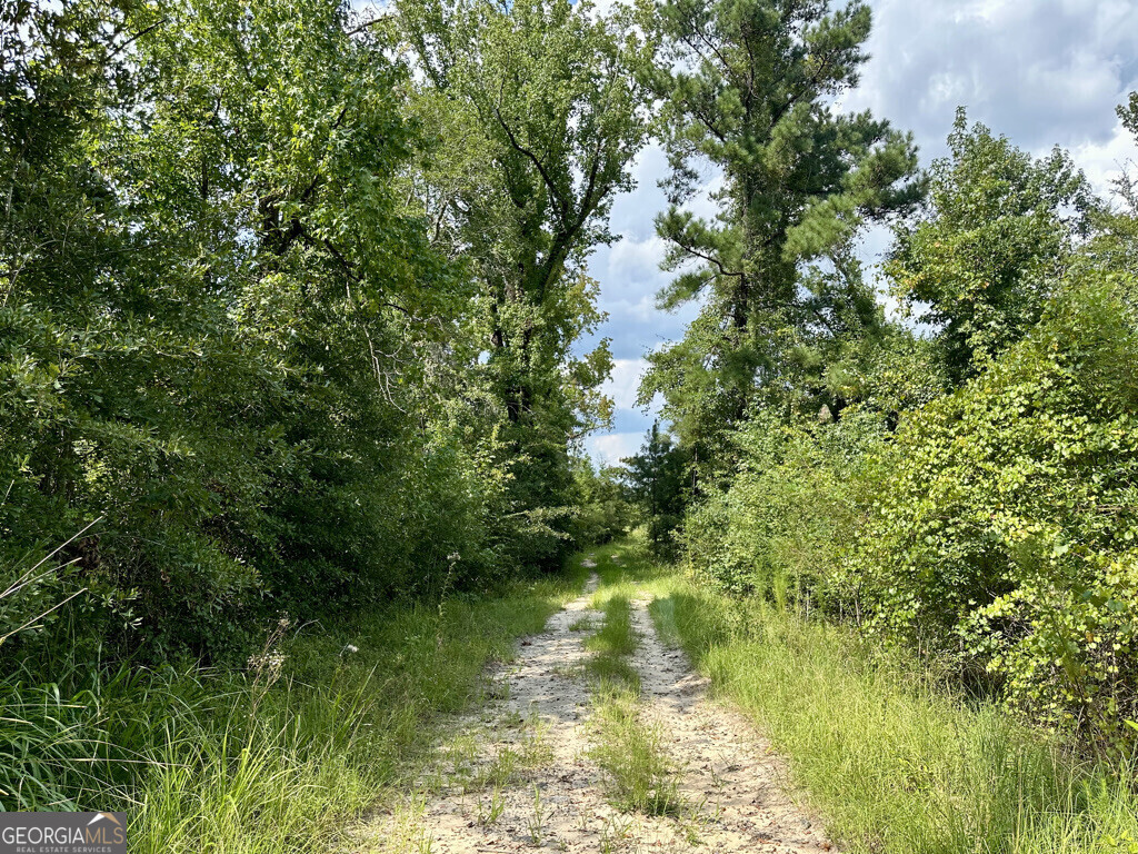 0 Dead River Rd. Property Photo 1