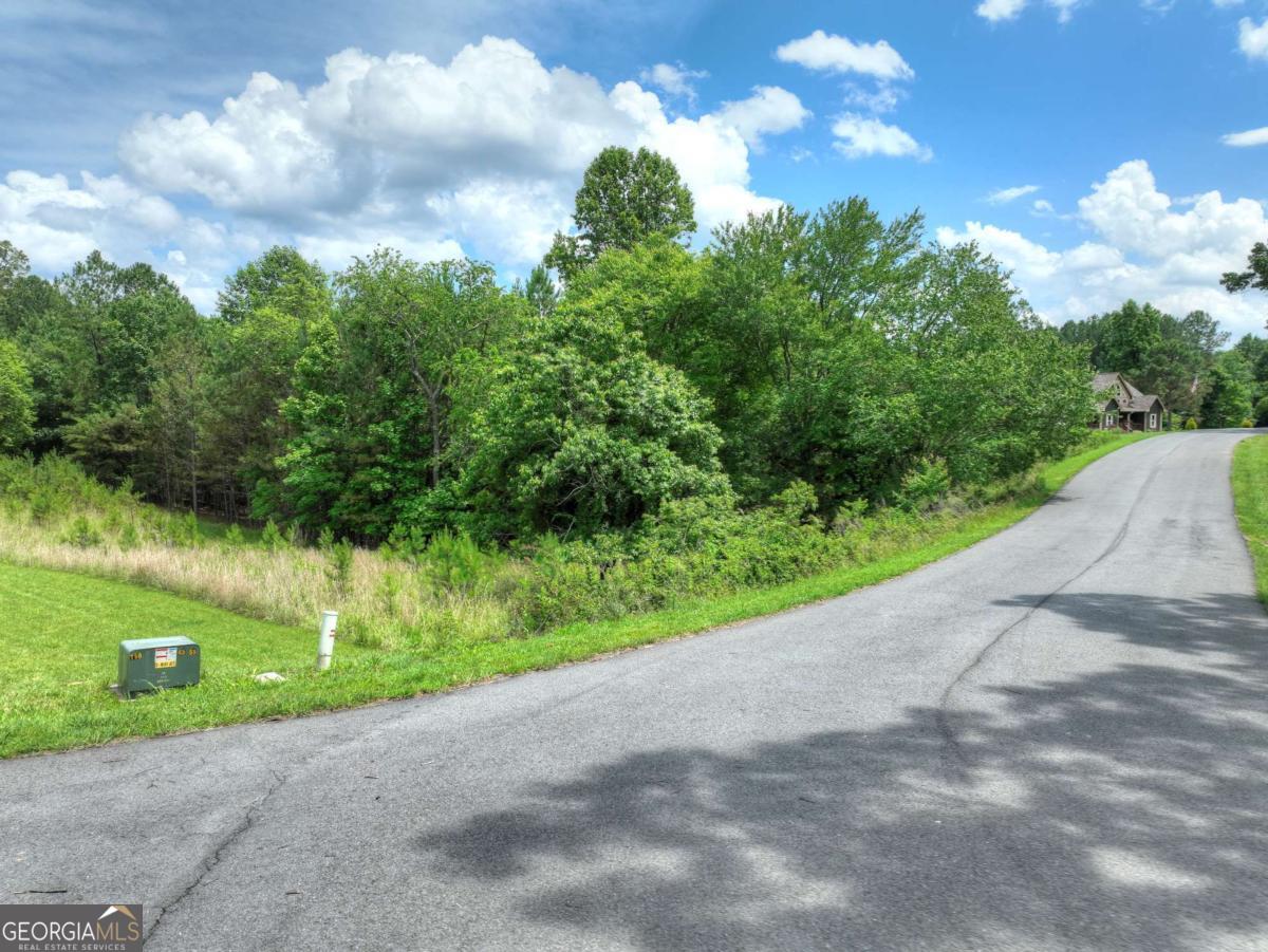 Lot 141 Fox Lake # 141 Property Photo 1