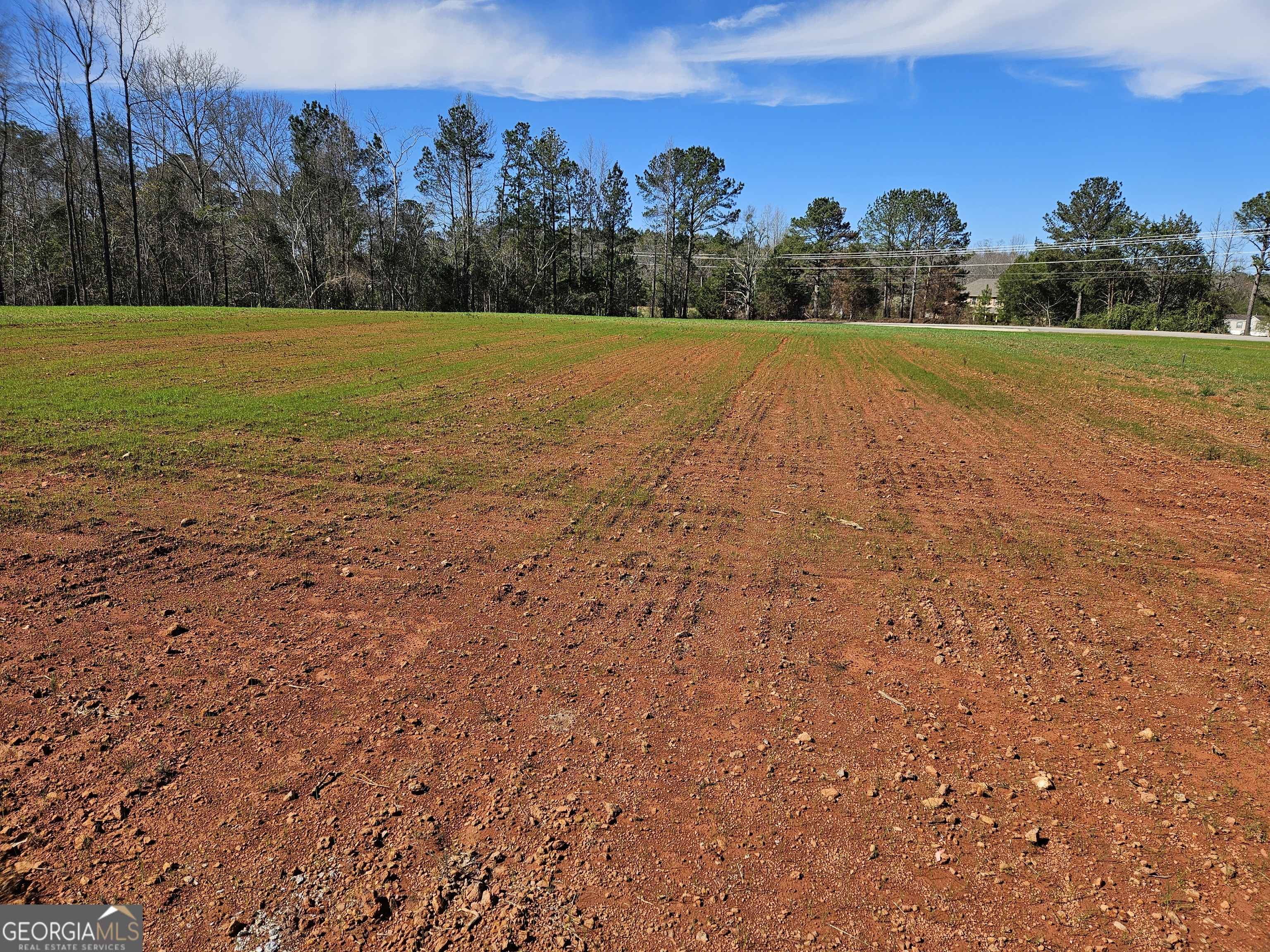 8160 County Road 87 Property Photo 1