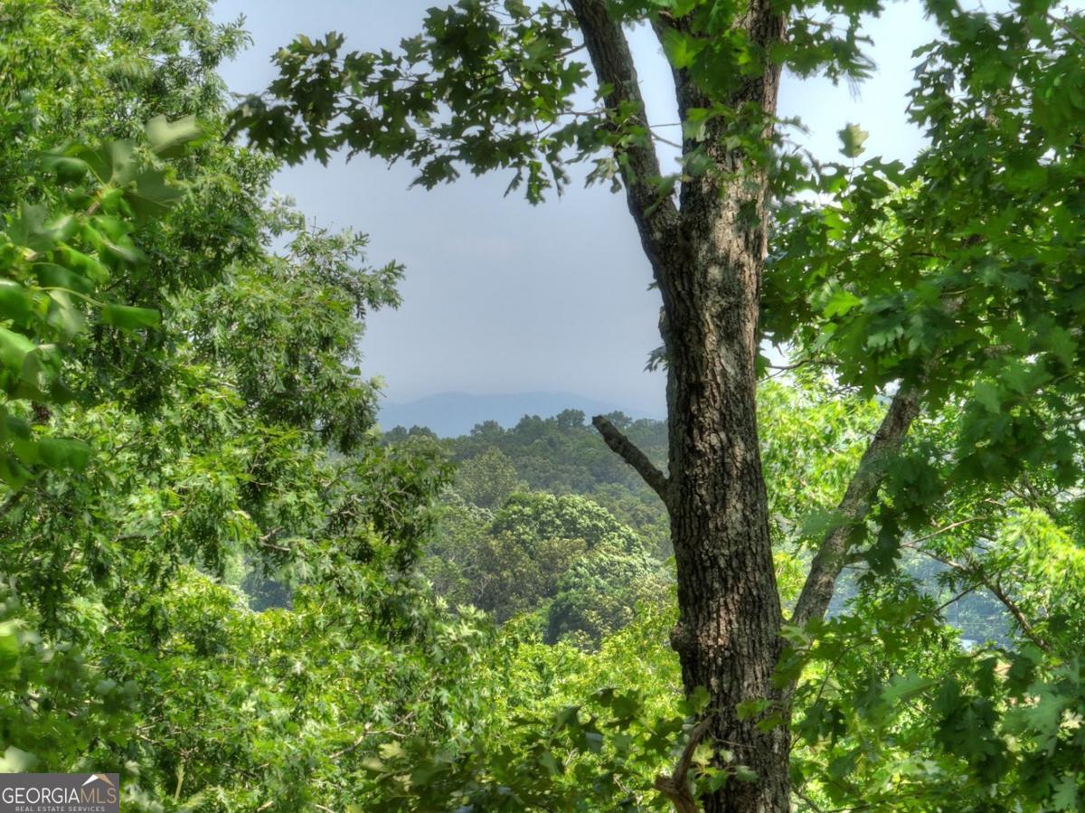 558 Tipton Springs Road Property Photo 58