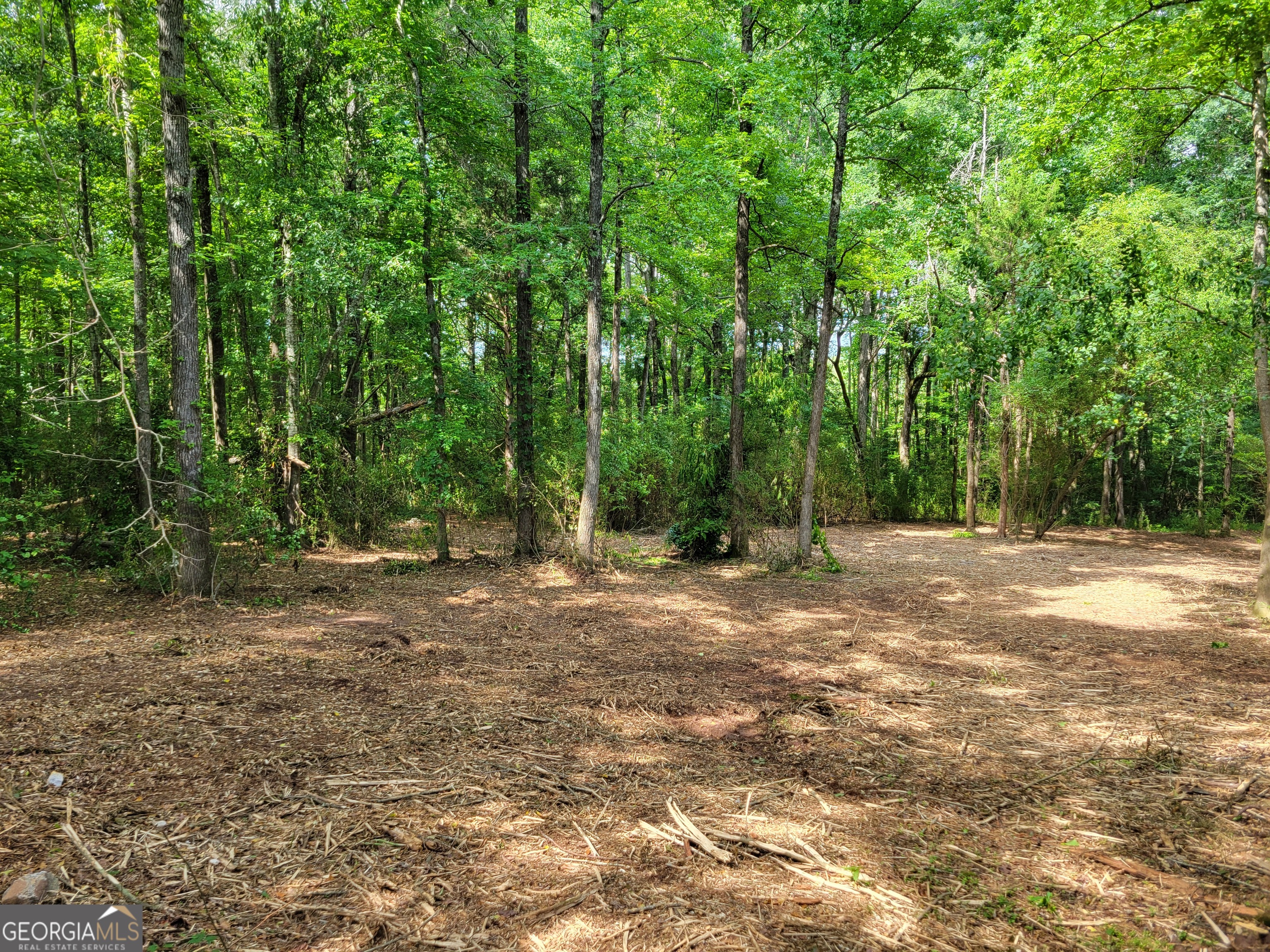2200 Rest Haven Road Property Photo 1