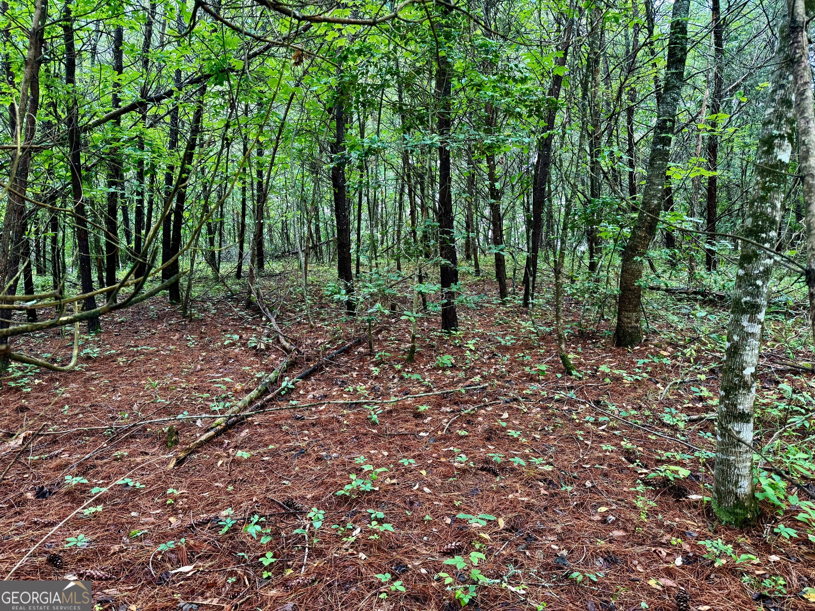 12 Brookhaven Property Photo 1