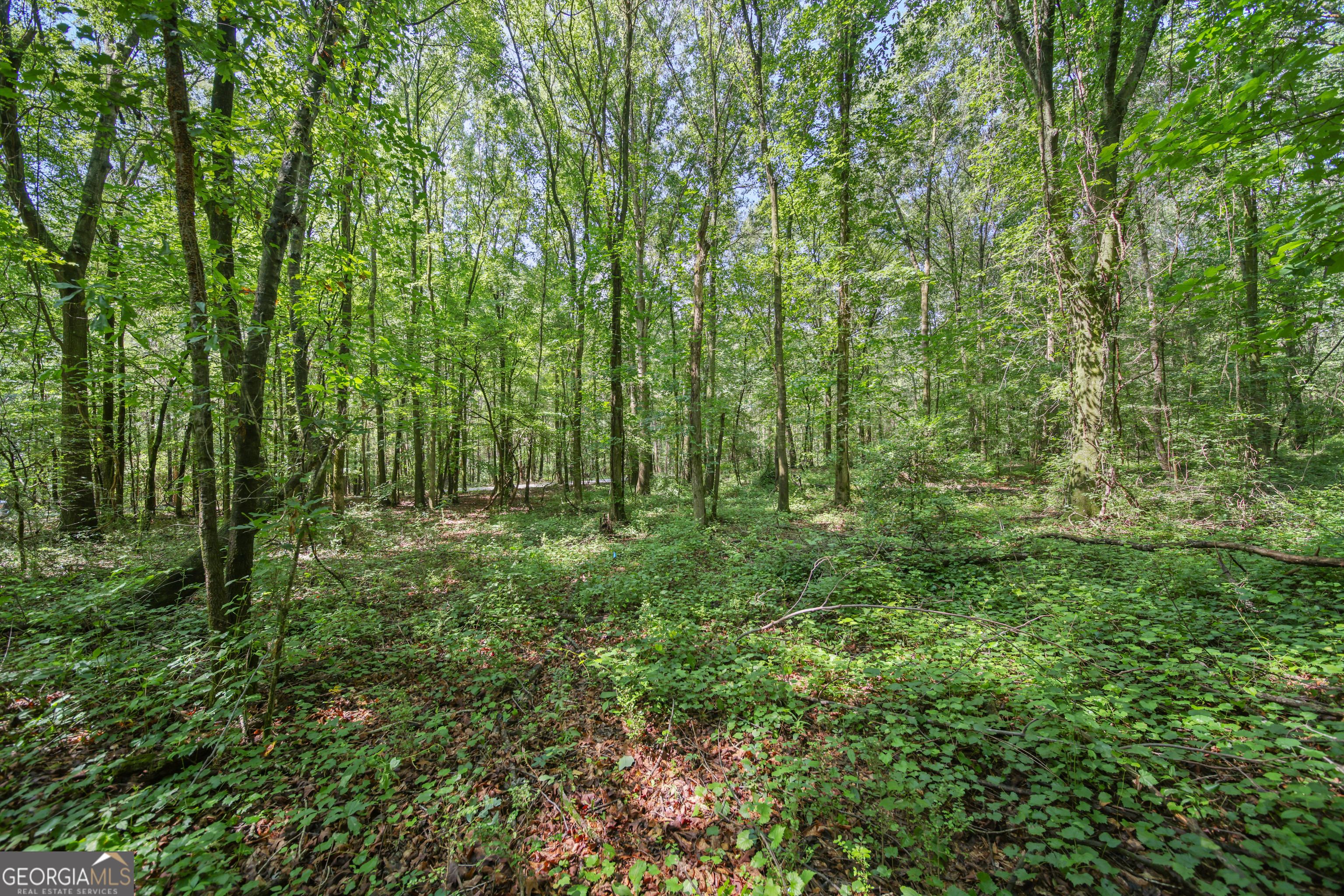 Lot 2 Lord Road Property Photo 1