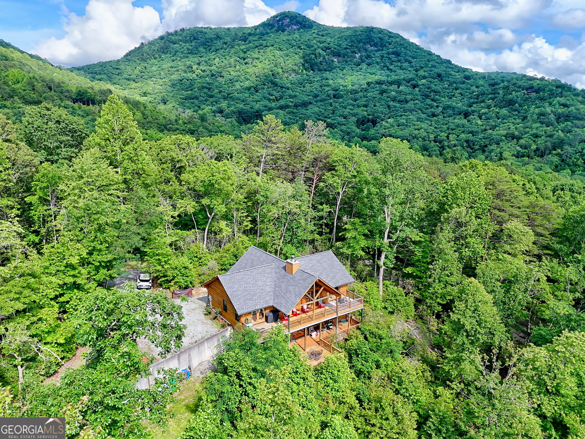 331 Black Bear Den Road Property Photo 1
