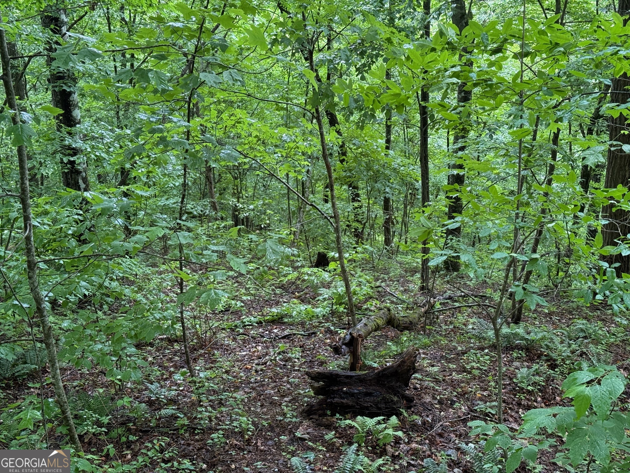 8 Black Bear Trail