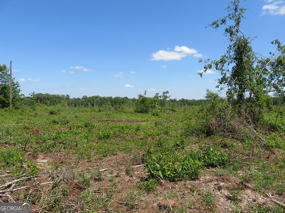1 Goolsby Road Property Photo 1