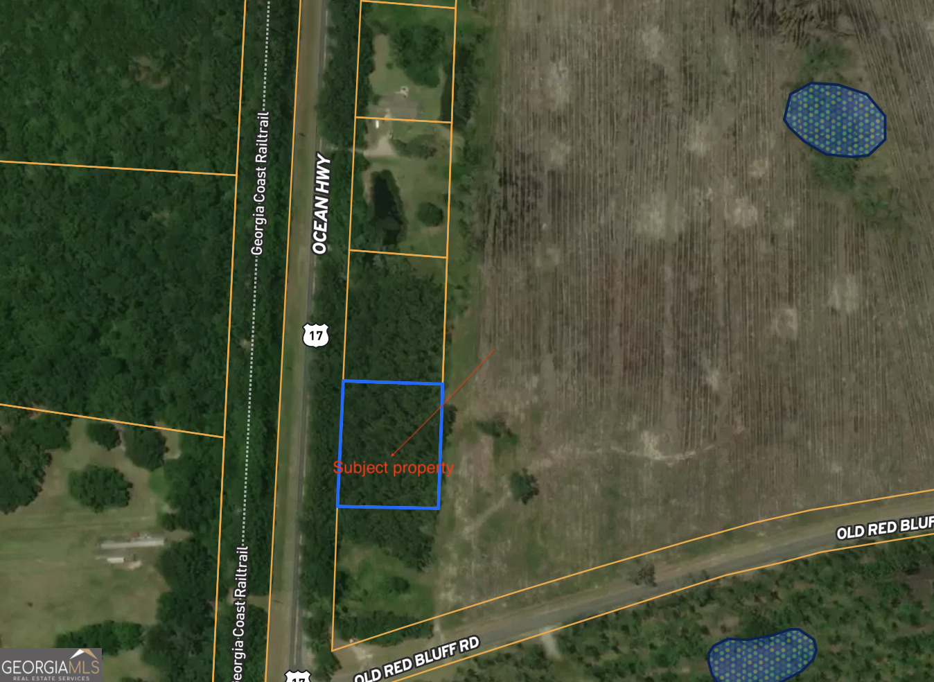 0 Us Highway 17 Property Photo 1