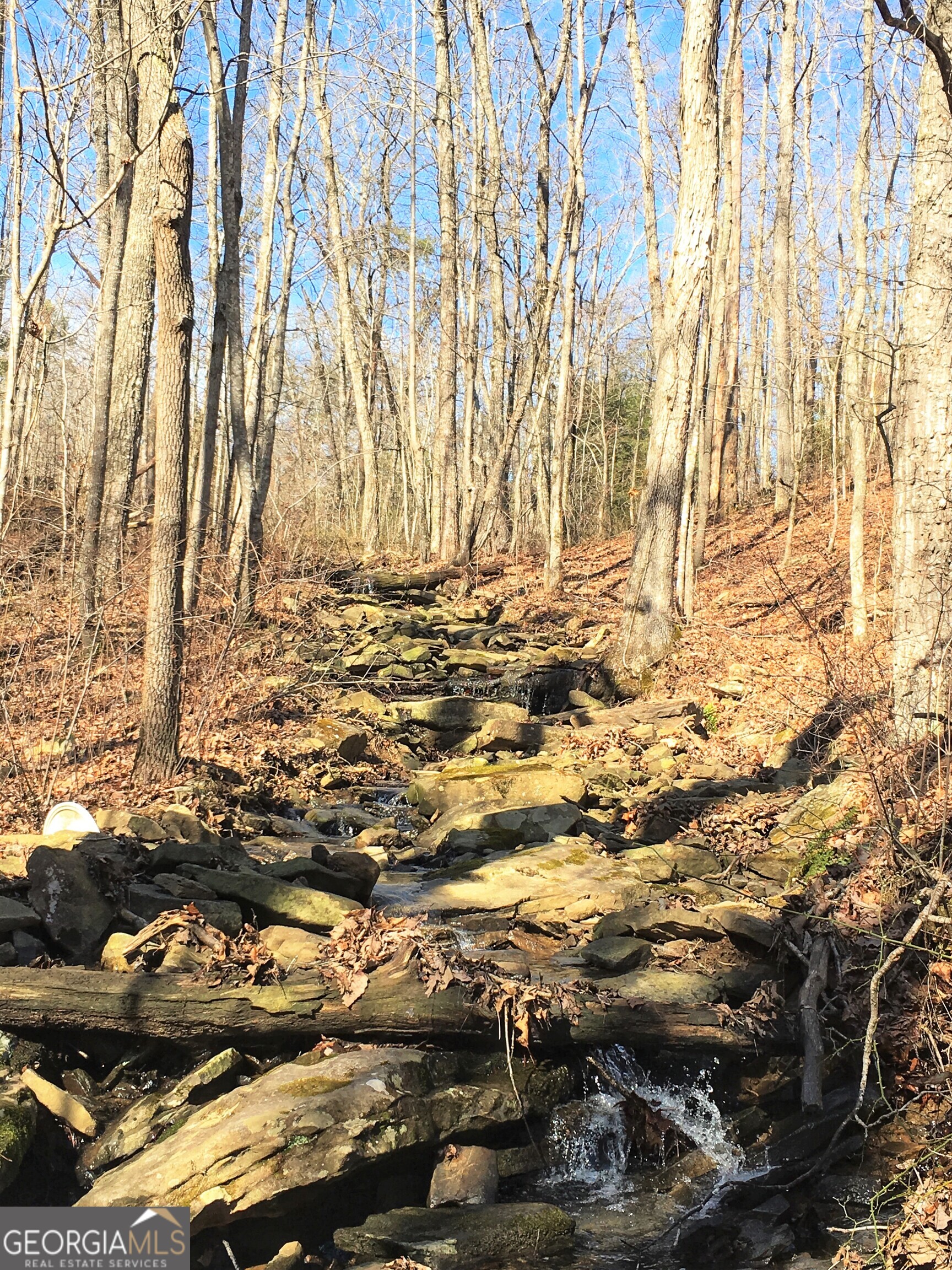 0 Welch Road Property Photo 1