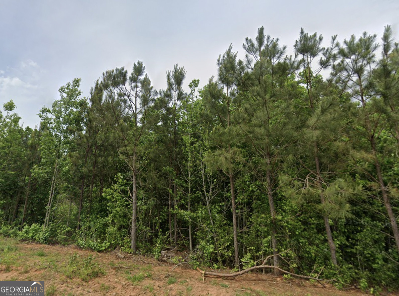 185 Old Four Notch Road Property Photo 1