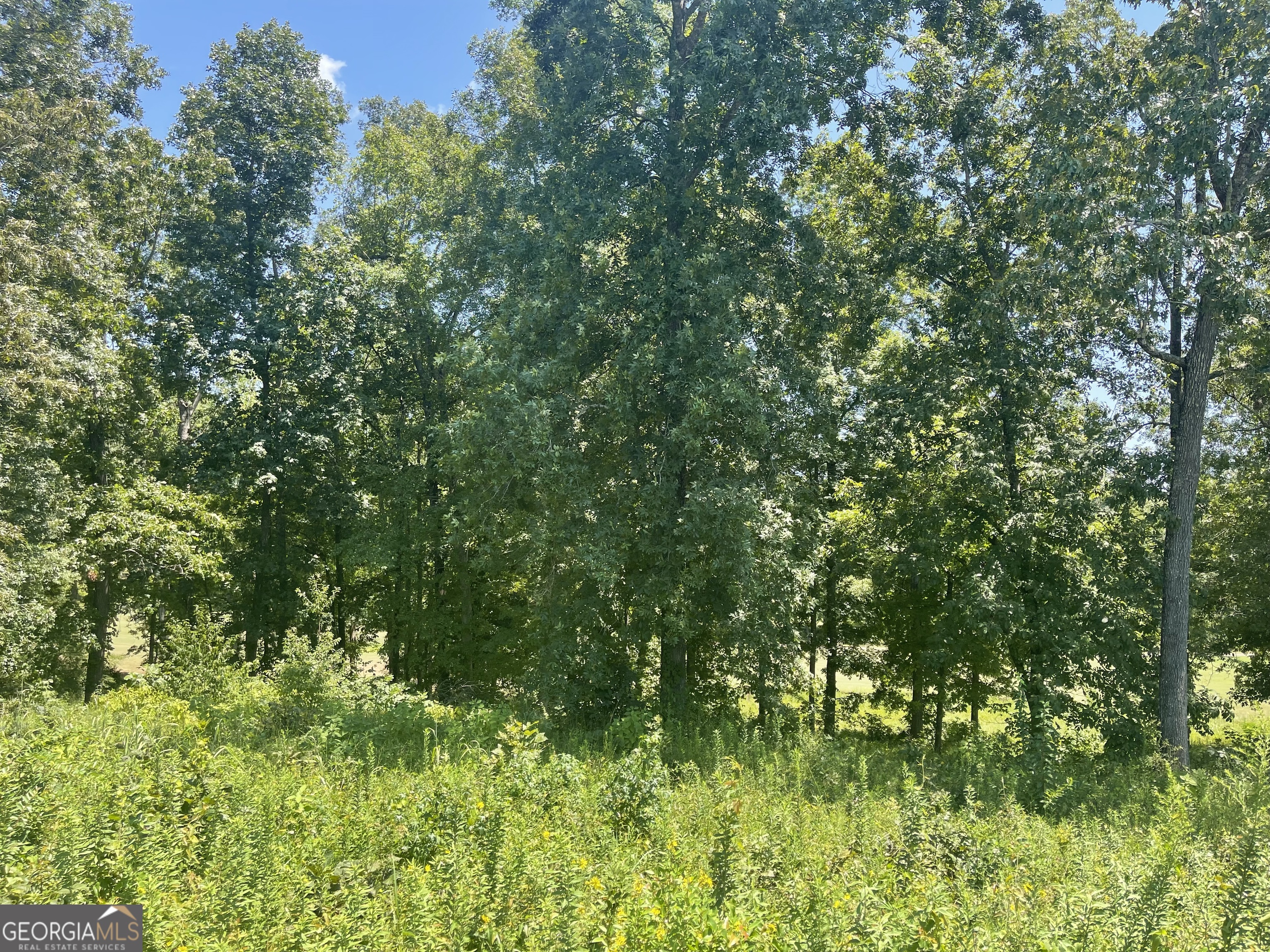Lot 11 Oak Drive Property Photo 1