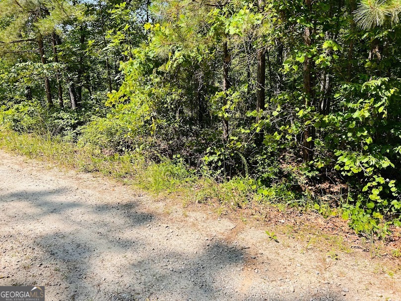 0 Turkey Court Property Photo 1