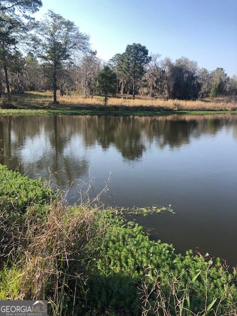 0 Henry-mimbs Rd Property Photo 1