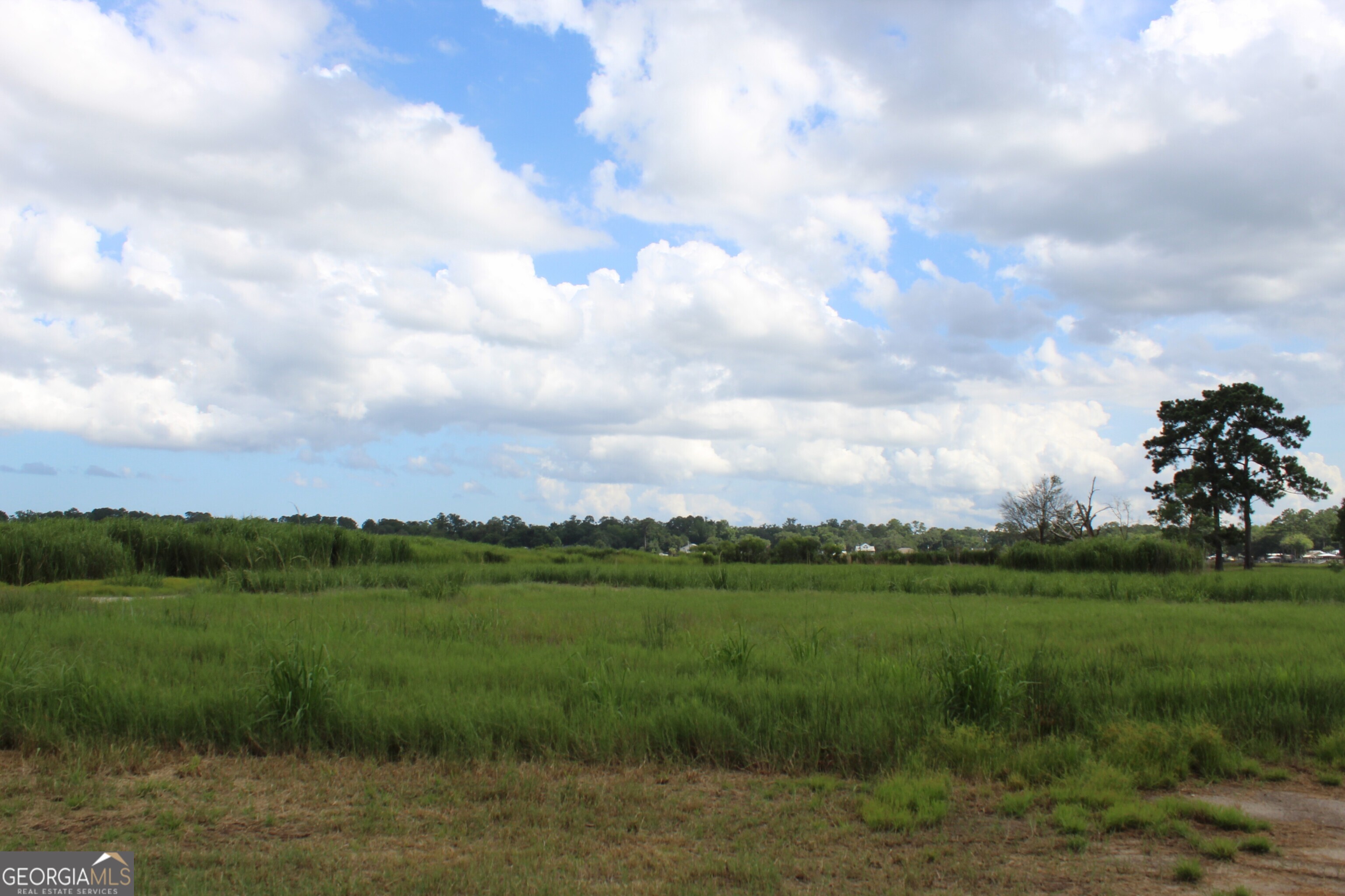 0 Jerico Marsh Road Property Photo 1