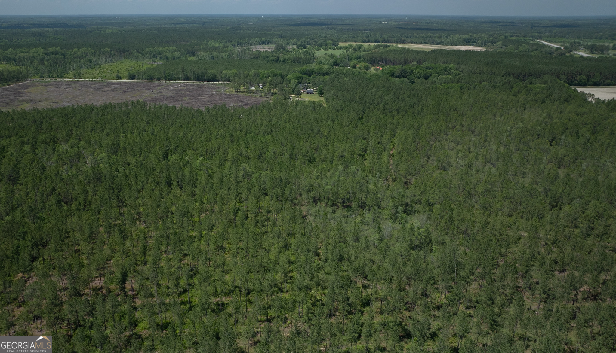 64.65 Ac Bay Branch Church Road Property Photo 1