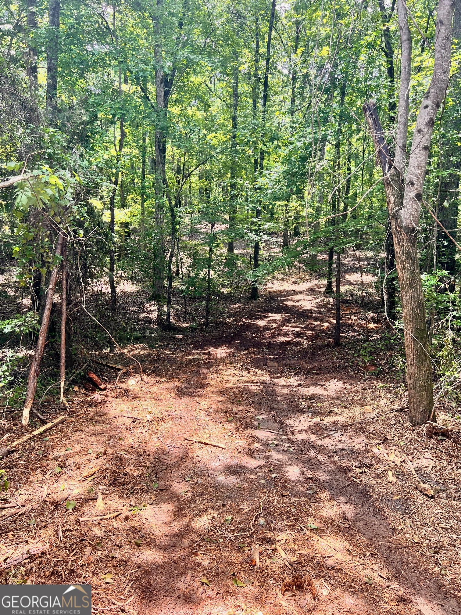 353 Retreat Trail Property Photo 1