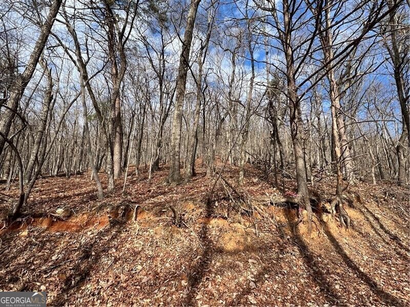 4528 Sassafras Mountain Trail Property Photo 1
