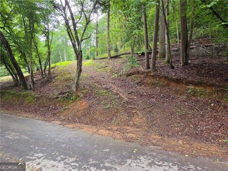 0 Edgewater Drive Property Photo 1