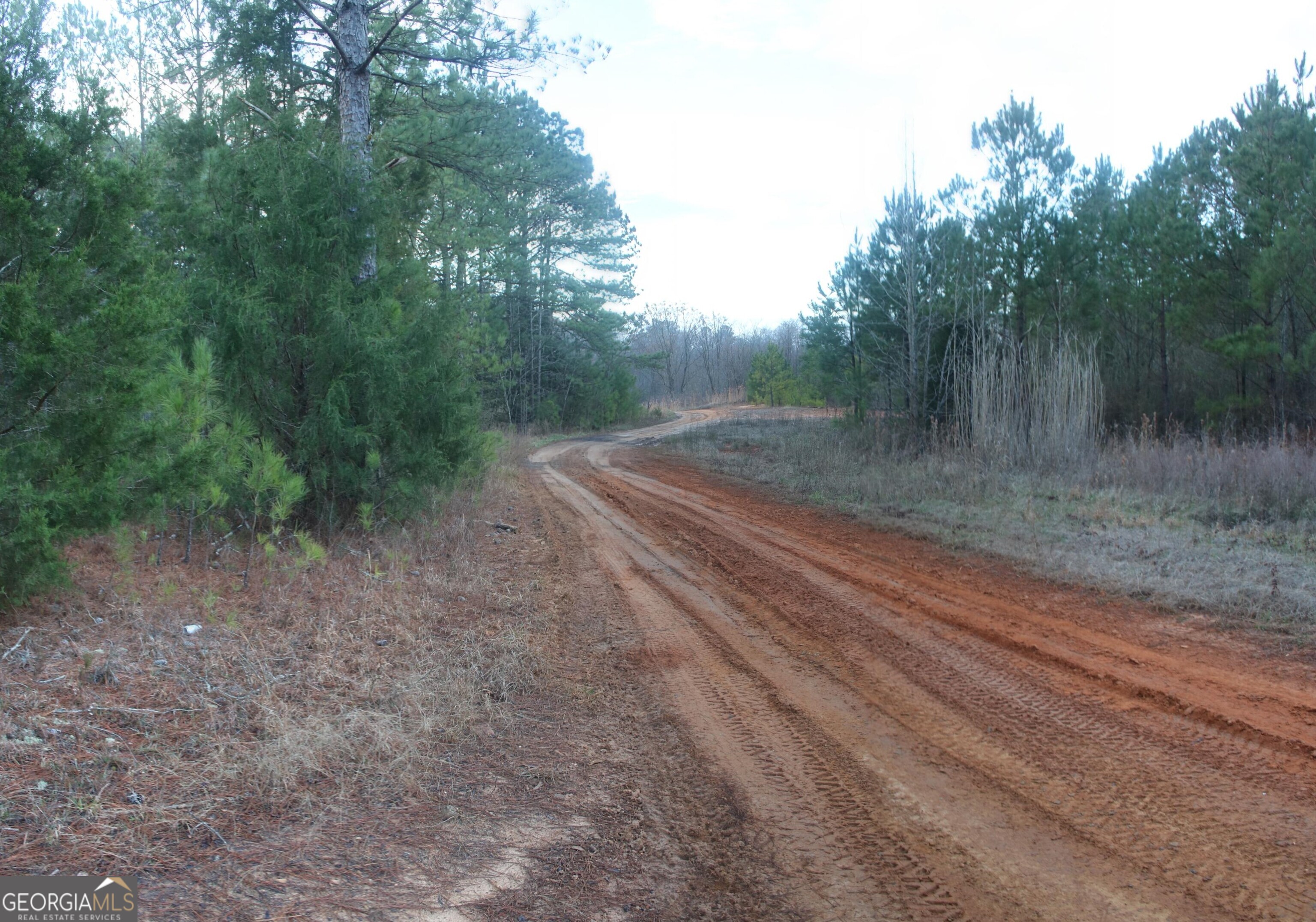 0 Upper Big Springs Road Property Photo 1