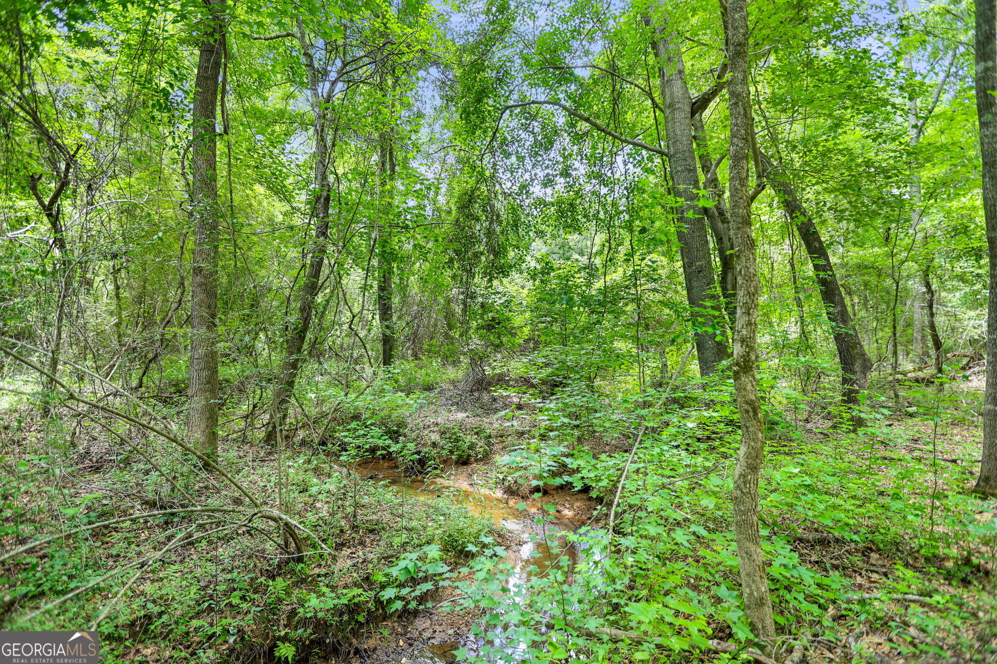 11.59+/- Ac Hunt Road Property Photo 1