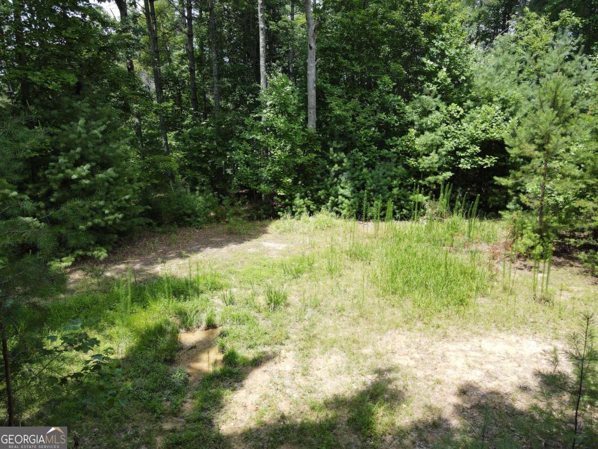 Lot 4 Scouts Overlook Lane Property Photo 1