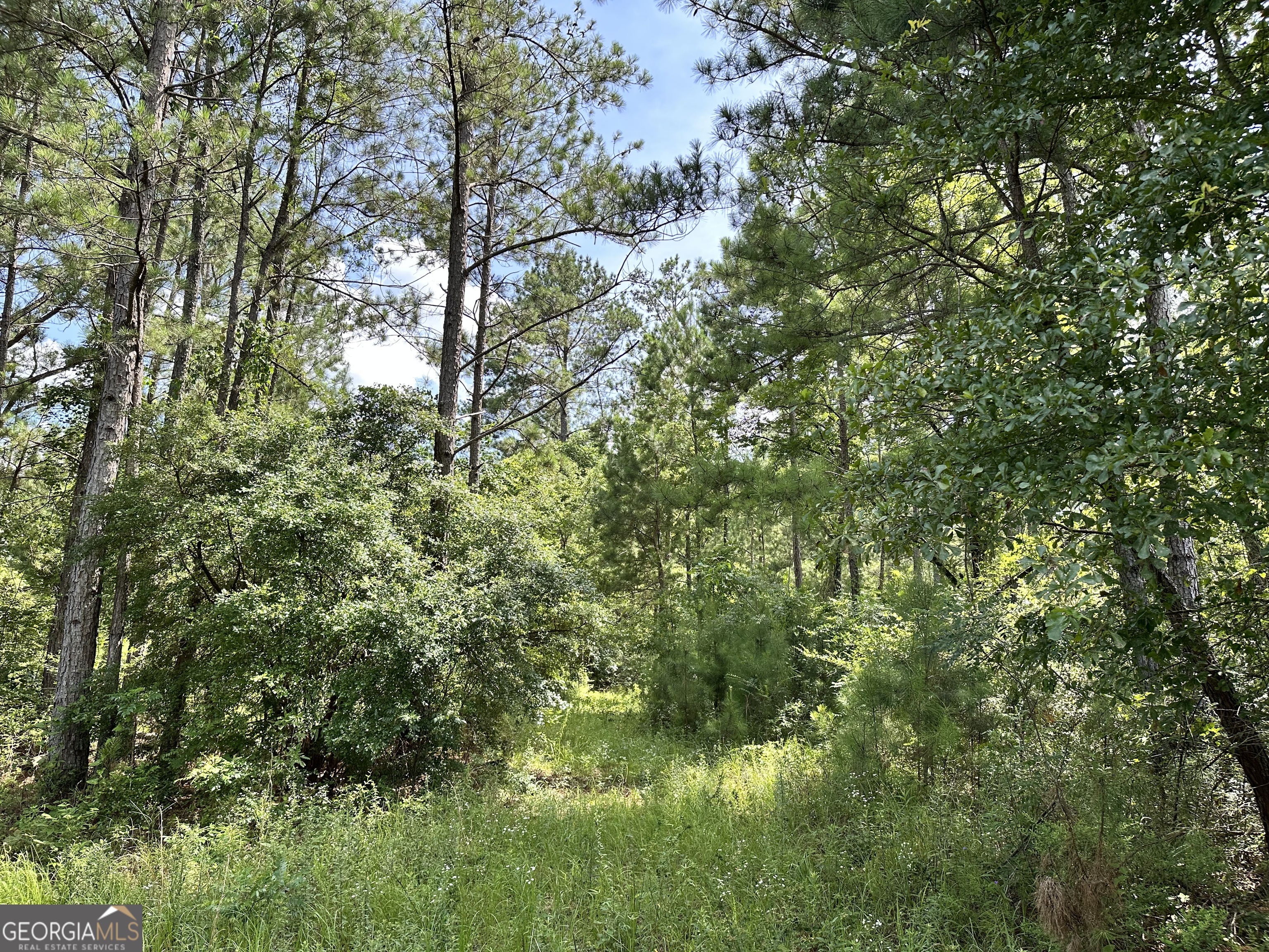 180 George Gray Road Property Photo 1