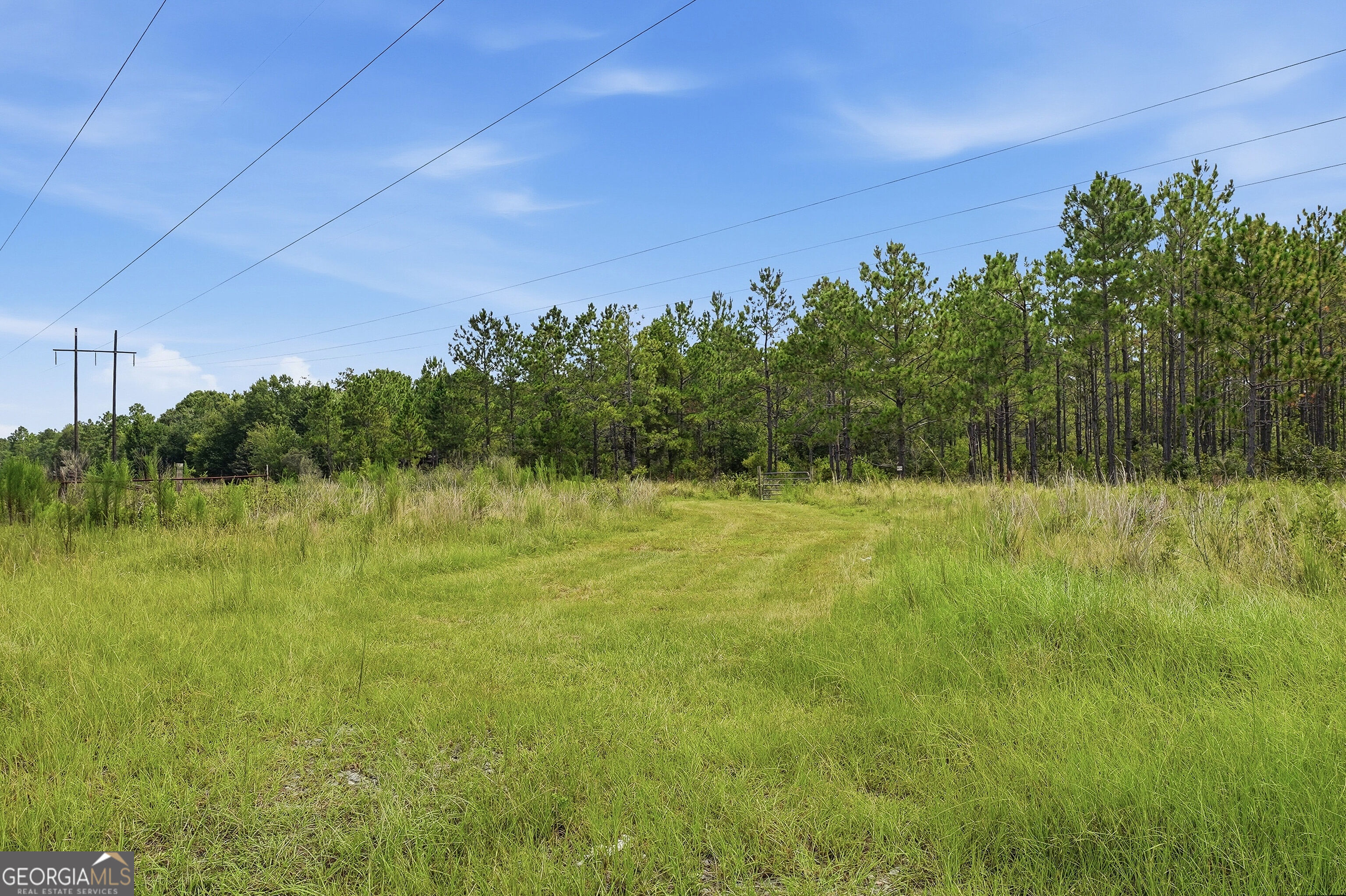 650 Benjamin H Hill Drive Property Photo 5