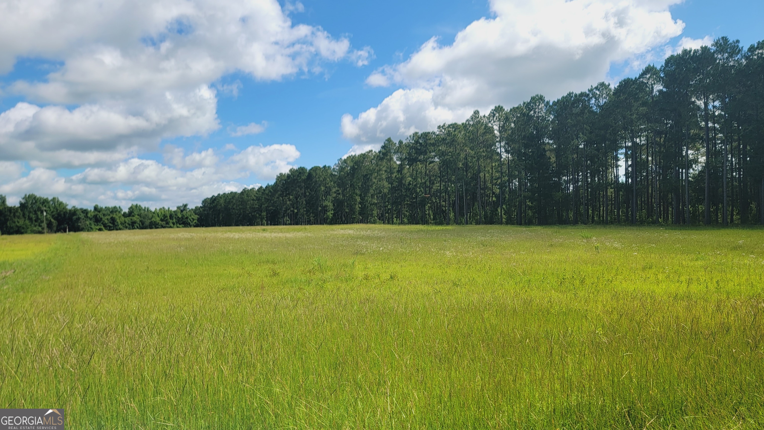 0 Briar Patch Way Property Photo 1