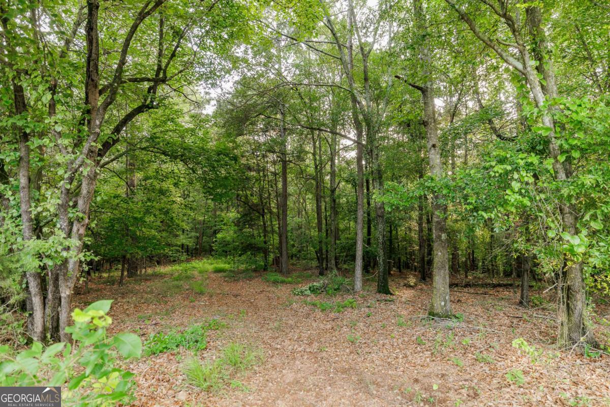 706 Sam Bruce Road Property Photo 72
