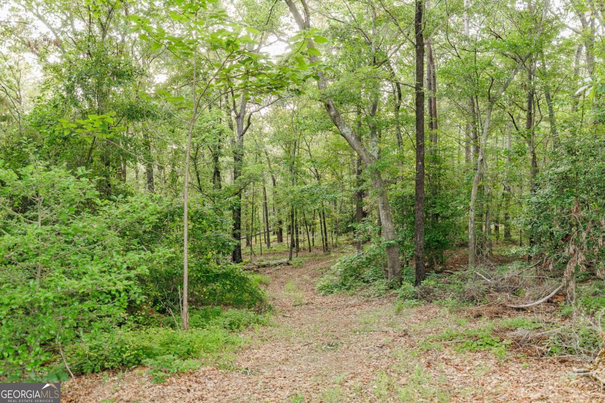 706 Sam Bruce Road Property Photo 74